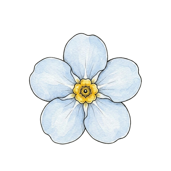 Forget Me Not flower meaning for DigiBouquets