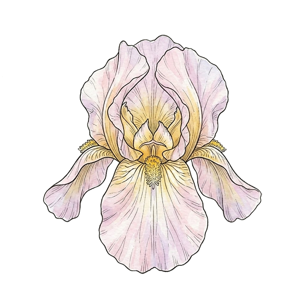 Iris flower for a DigiBouquet