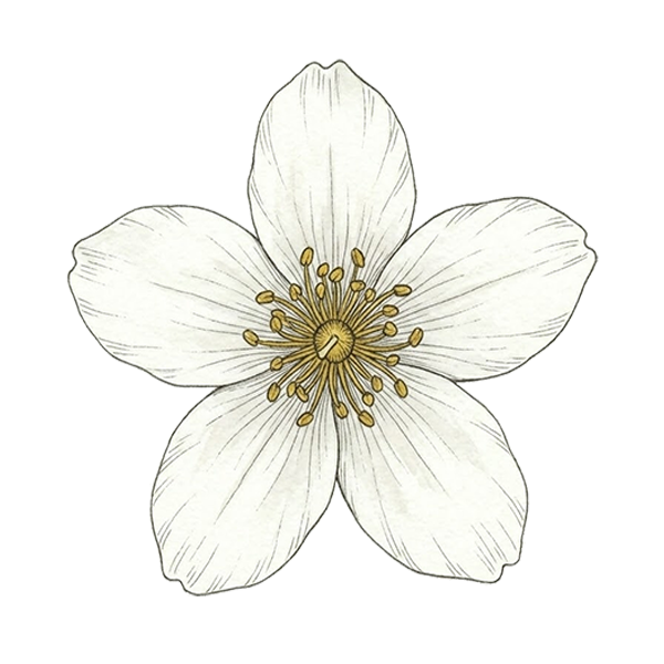 Missing You Softly DigiBouquet template Jasmine flower