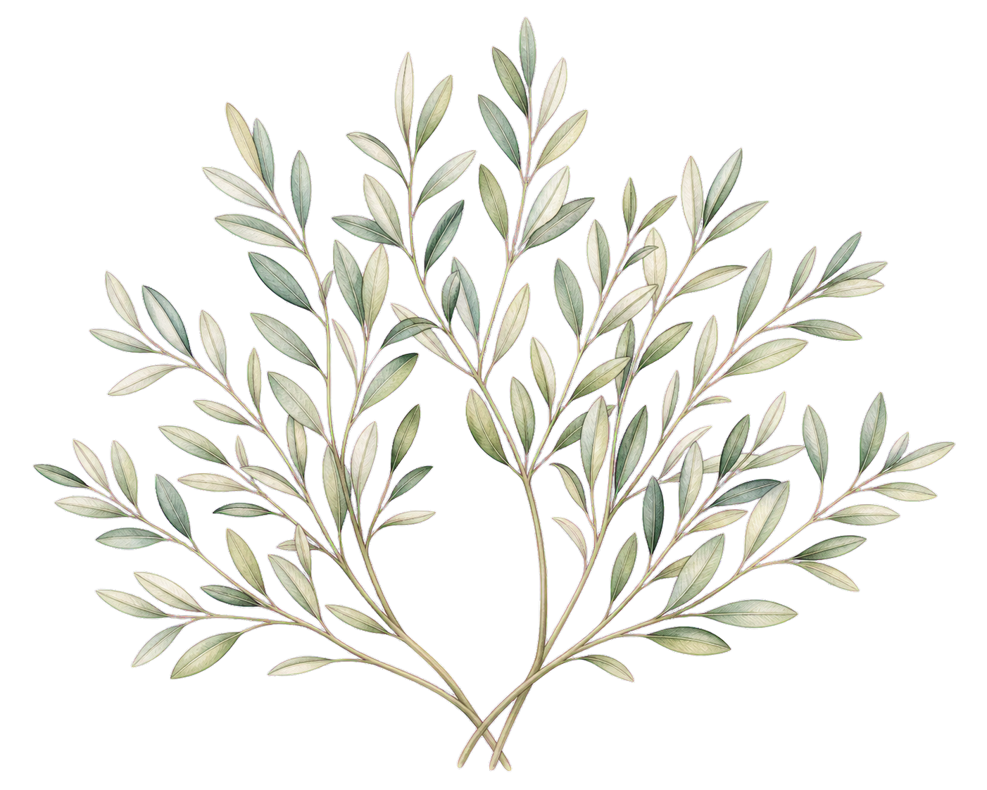 Gentle Sorry DigiBouquet template greenery